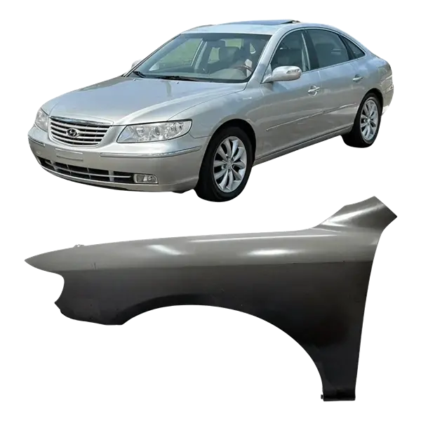 بنكة يسار هيونداي أزيرا (2005-2010) | رقم القطعة: 66310-3L100